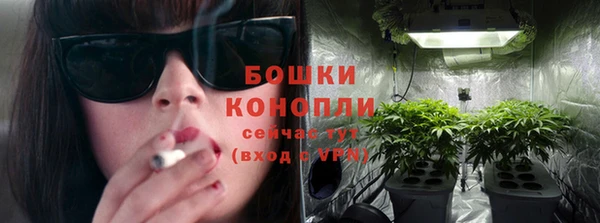 хмурый Няндома