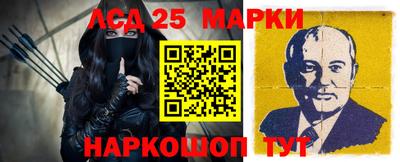 гидропоника Камышлов