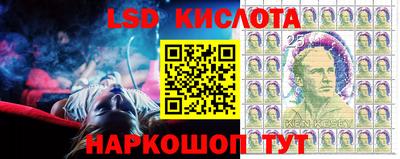 гидропоника Камышлов