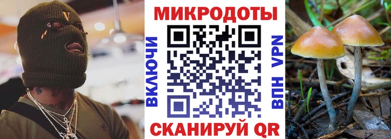 Псилоцибиновые грибы Magic Shrooms  Урус-Мартан 