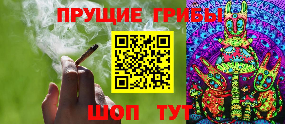Псилоцибиновые грибы прущие грибы Урус-Мартан