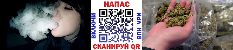 где купить наркоту  площадка официальный сайт  Марихуана семена  Урус-Мартан  hydra сайт 