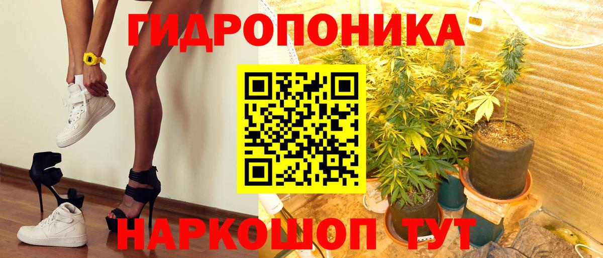Урус-Мартан  Шишки марихуана Bruce Banner  Вход с VPN  МАРИХУАНА сатива  Конопля тримм 